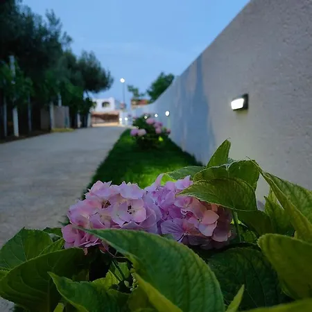 Lejlighed White Pearl *